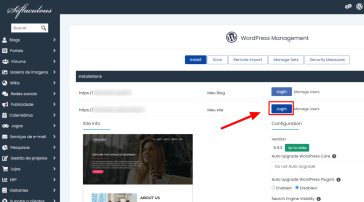 Gerenciador de instalações do WordPress